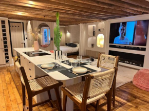 Appartement luxe Louvre Paris